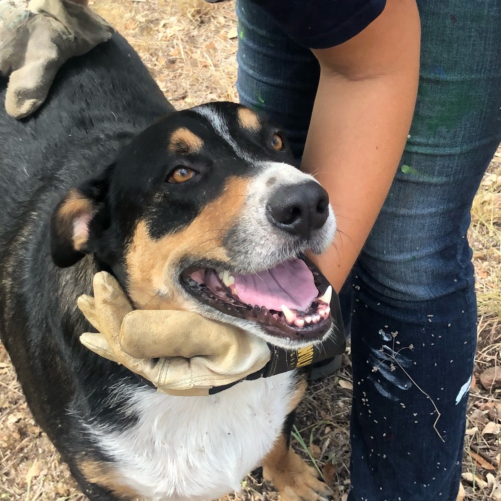 Meet your Posher, Brandon